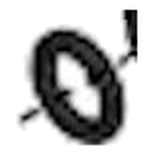 Pentair Erie 541 – O-ring pekelplug (REP-186-118)