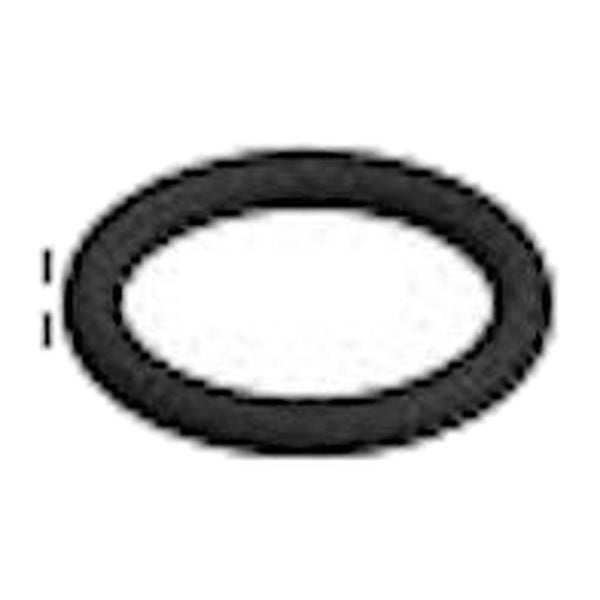 Pentair Erie 541 – O-ring stijgbuis (REP-185-214-1)